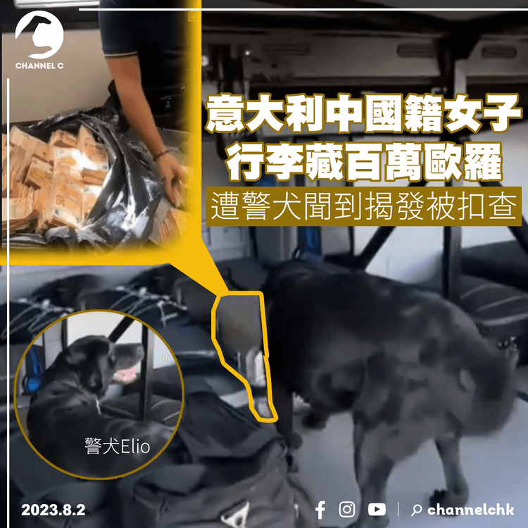 意大利一中國籍女子行李藏百萬歐羅　遭警犬聞到揭發被扣查