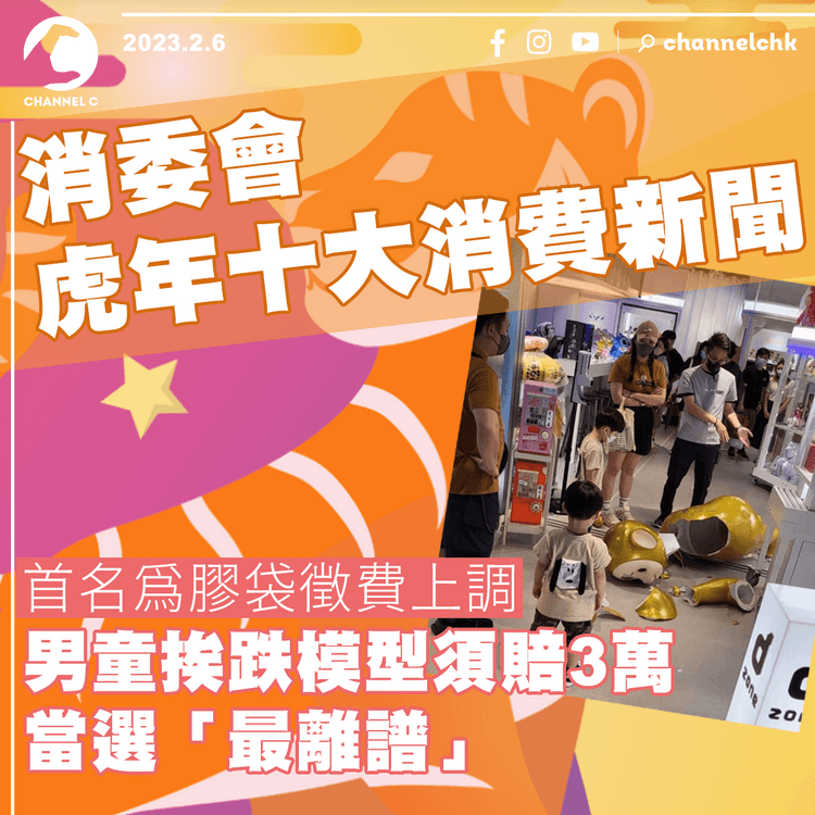 消委會虎年十大消費新聞 首名為膠袋徵費上調 男童挨跌模型須賠3萬當選「最離譜」