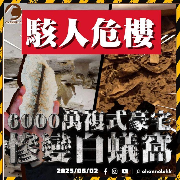 駭人危樓 慎入！6000萬複式豪宅慘變白蟻窩 地板變枯木 漏水漏足10年 拍攝期間天花跌石屎鋼筋 屋主長期瞓地下｜西半山榮華閣