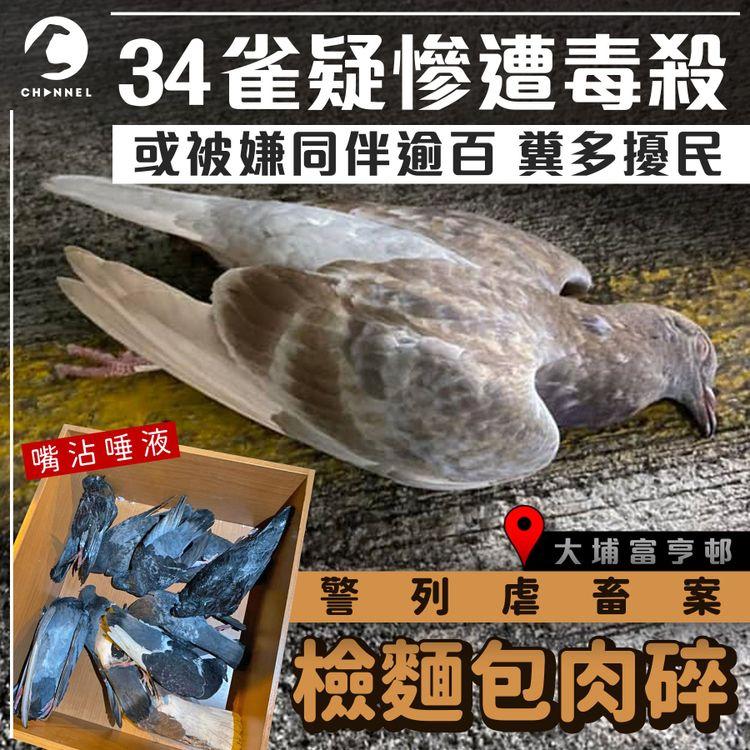 34雀疑慘遭毒殺 因被嫌聚逾百隻 糞多擾民 揭嘴沾唾液 遺麵包肉碎 另8雀不適 警列虐畜
