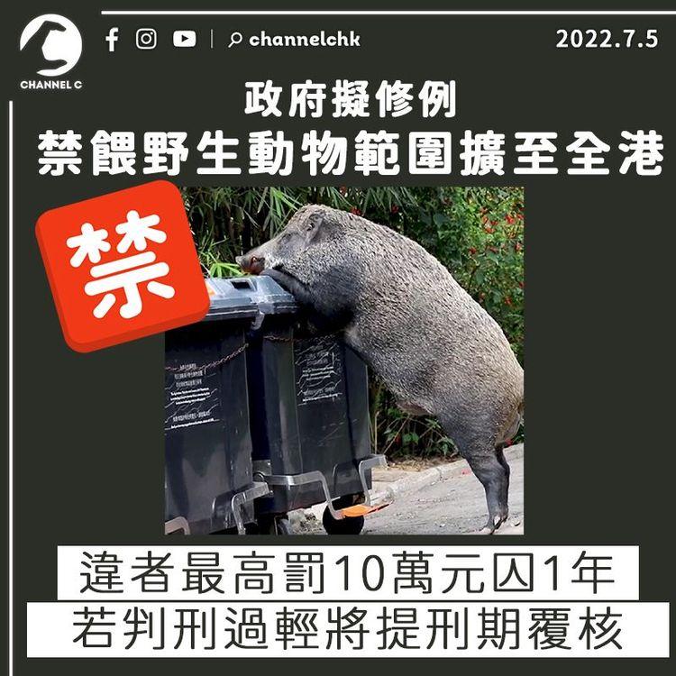 禁餵野生動物範圍擬擴至全港 違者最高罰10萬元囚1年