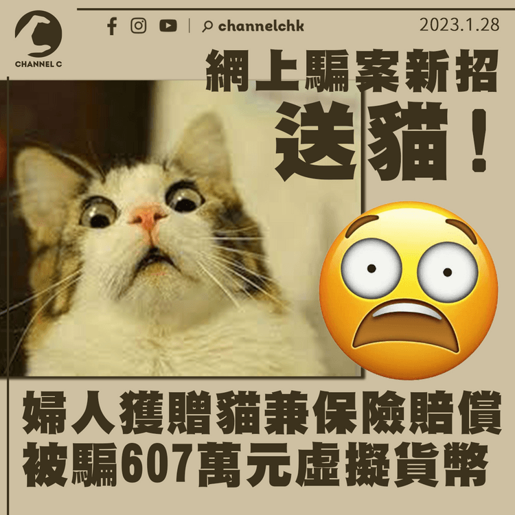 婦人獲海外送貓被騙607萬元虛擬貨幣 男子墮刷單賺佣騙案失447萬元