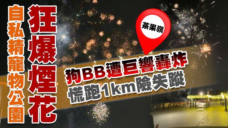 直擊自私精寵物公園狂爆煙花 狗BB遭巨響轟炸 慌跑1km險失蹤！燃放者亂丟包裝盒落海 圖毀屍滅跡 警茶果嶺緝7男1女