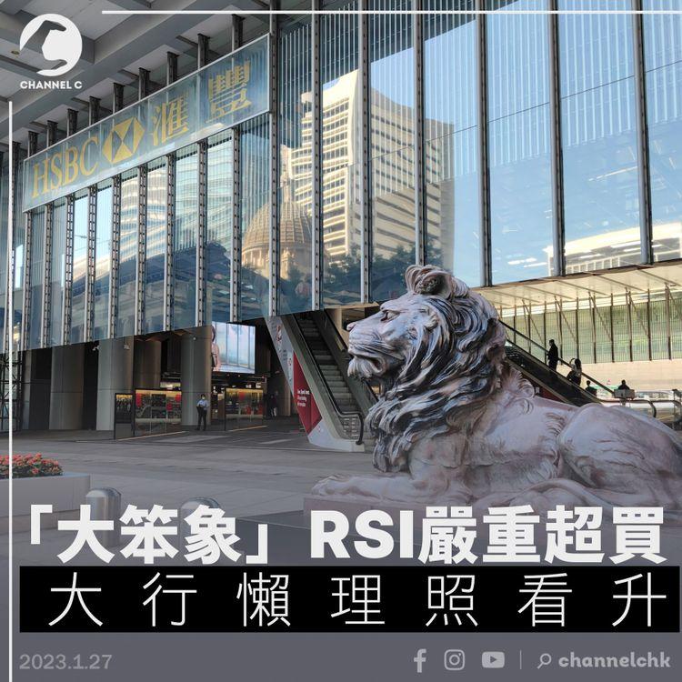 「大笨象」RSI嚴重超買 大行懶理照看升