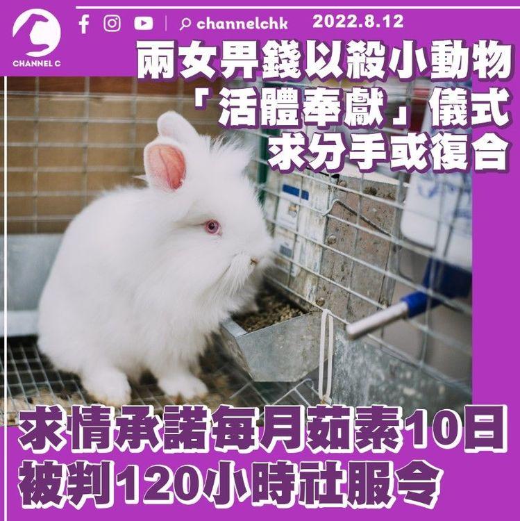 兩女畀錢以殺動物「活體奉獻」求分手復合 承諾每月茹素10日 判120小時社服令  