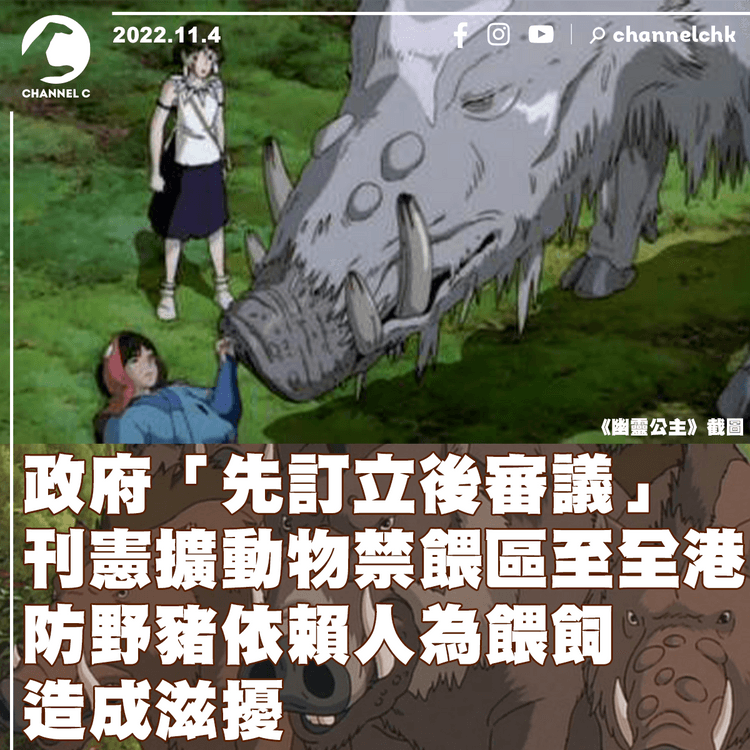 政府「先訂立後審議」 刊憲擴動物禁餵區至全港 防野豬依賴人為餵飼