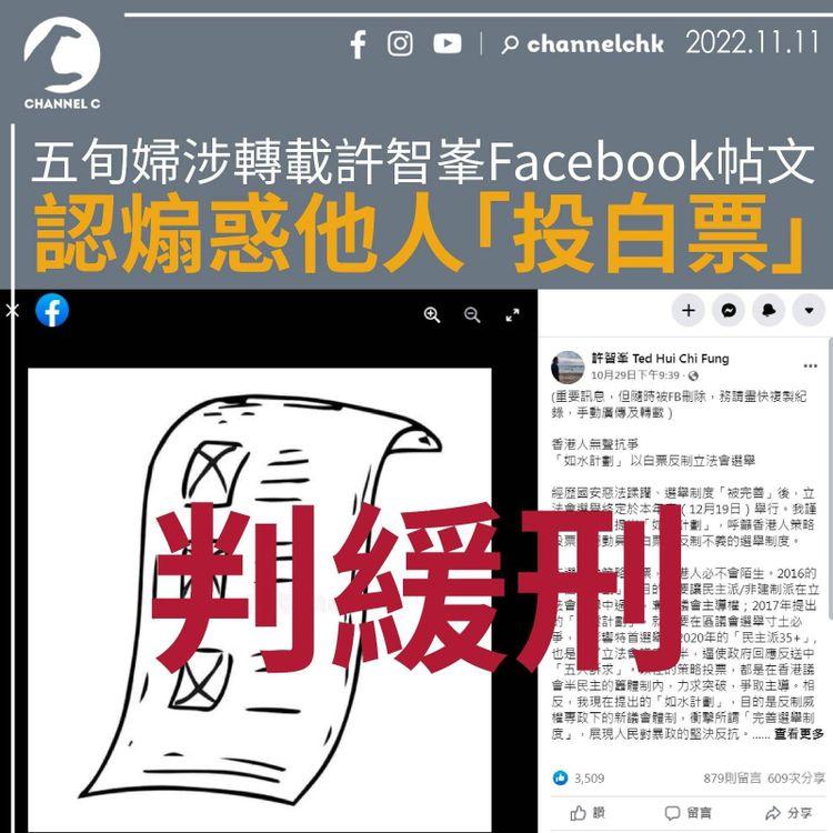 五旬婦涉轉載許智峯Facebook帖文 認煽惑他人「投白票」判緩刑