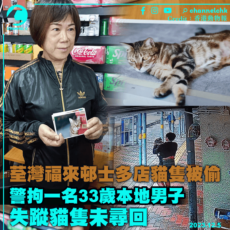 荃灣福來邨士多店貓隻被偷　警拘一名33歲本地男子　失蹤貓隻未尋回