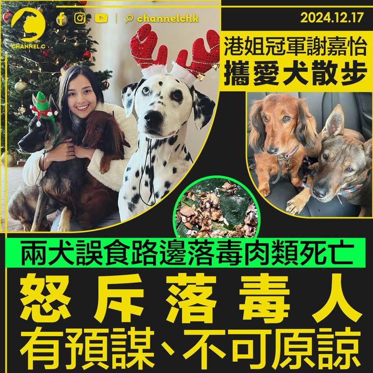 港姐冠軍謝嘉怡攜愛犬散步　兩犬誤食路邊落毒肉類死亡　怒斥落毒人有預謀、不可原諒