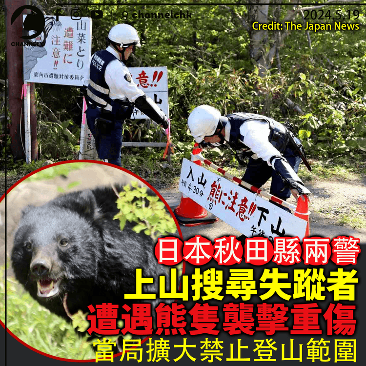 日本秋田縣兩警 遭遇熊隻襲擊重傷 當局擴大禁止登山範圍