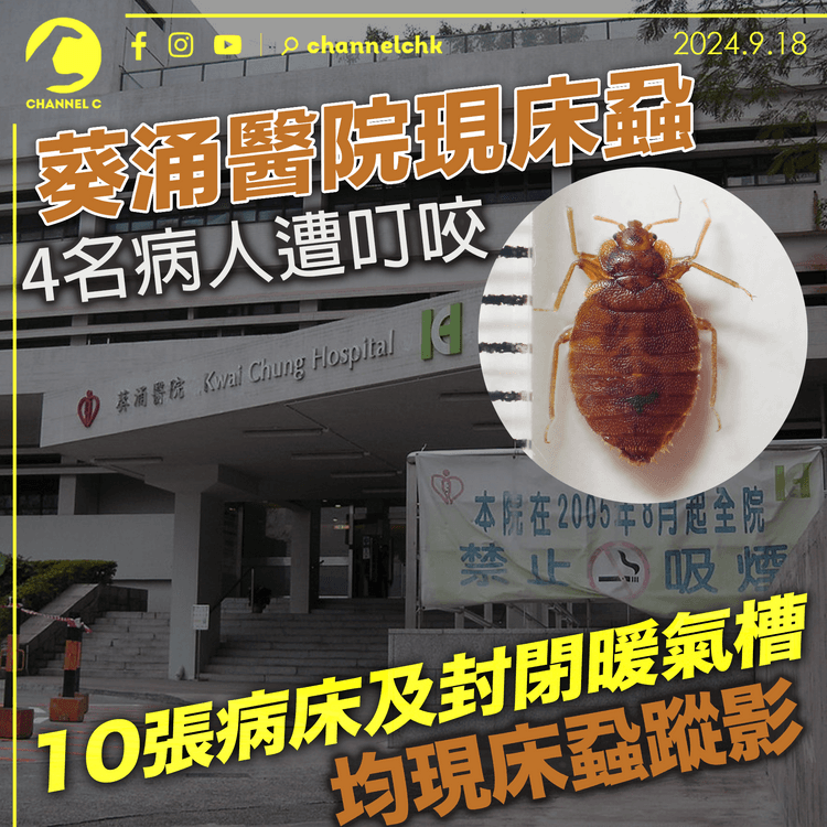 葵涌醫院現床蝨　 4名病人遭叮咬　 10張病床及封閉暖氣槽現床蝨蹤影