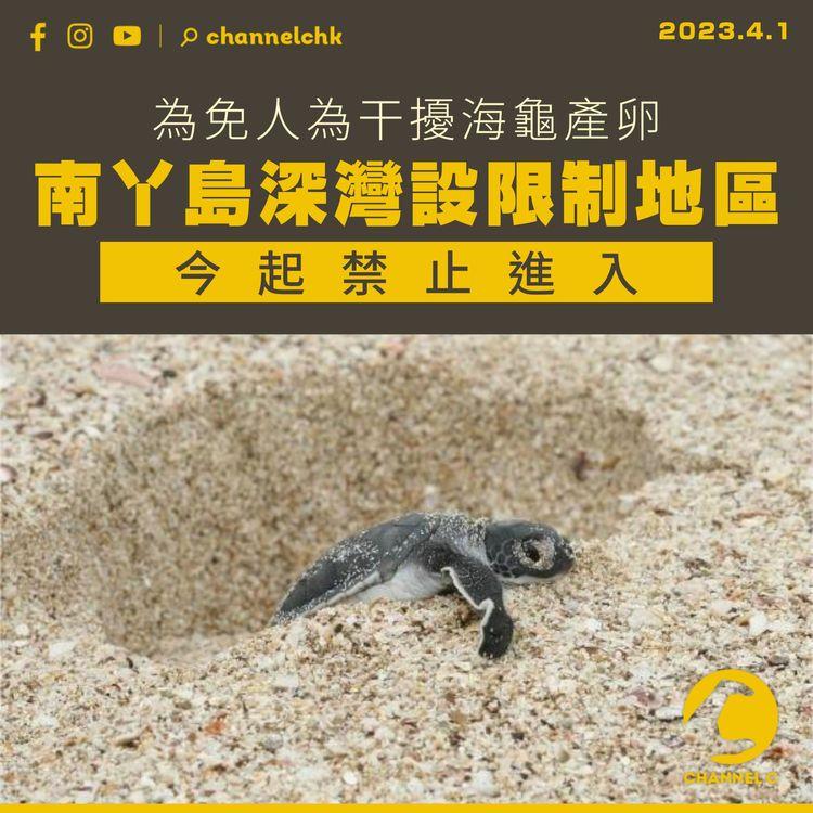 為免人為干擾海龜產卵 南丫島深灣設限制地區 今起禁入至10月底