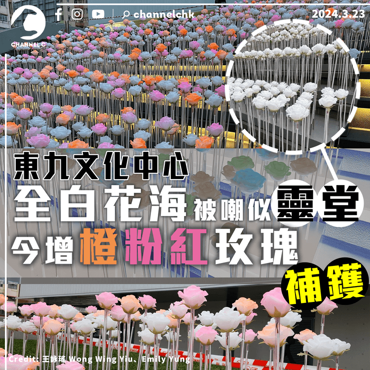 東九文化中心LED全白花海被嘲似靈堂　今增橙粉紅玫瑰「補鑊」