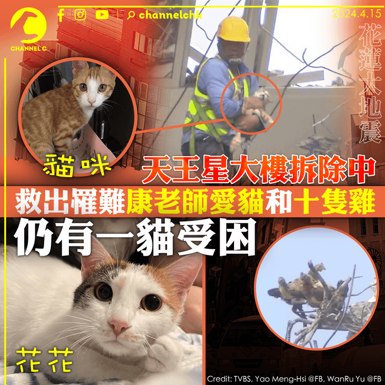 花蓮大地震｜天王星大樓拆卸中　救出罹難教師愛貓和十隻雞　仍有一貓受困