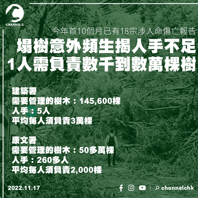 塌樹意外頻生揭人手不足 建築署職員每人最多需負責3萬棵樹
