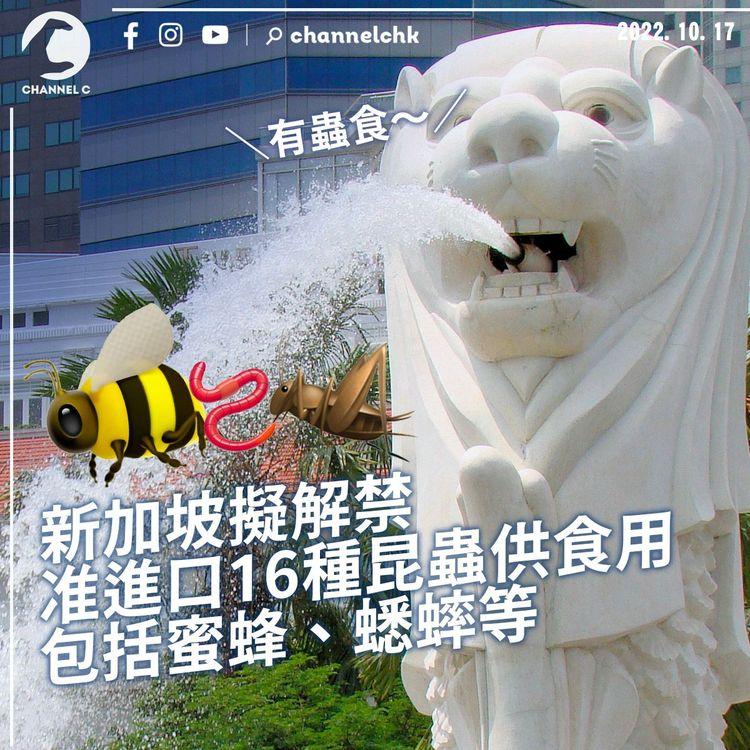 新加坡擬解禁准進口16種昆蟲供食用 包括蜜蜂、蟋蟀等