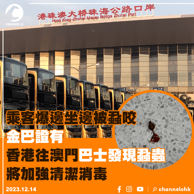 乘客爆邊坐邊被蝨咬　金巴證有香港往澳門巴士發現蝨蟲　將加強清潔消毒