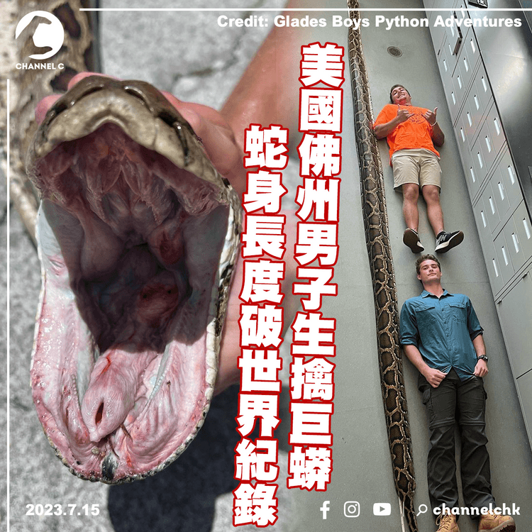 美國佛州男子生擒巨蟒　蛇身長度破世界紀錄