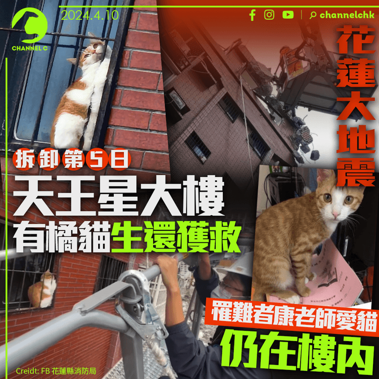 花蓮大地震｜天王星大樓拆卸第5天　有橘貓生還獲救　罹難者康老師愛貓仍在樓內
