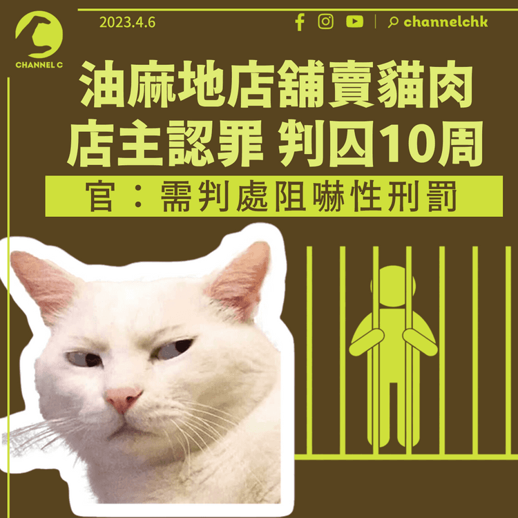 油麻地賣貓肉店主認罪判囚10周 官：需判處阻嚇性刑罰