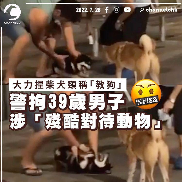 大力捏柴犬頸稱「教狗」 39歲男涉殘酷對待動物被捕