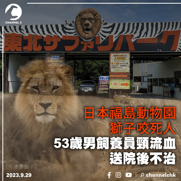日本福島動物園獅子咬死人　53歲男飼養員頸流血送院後不治
