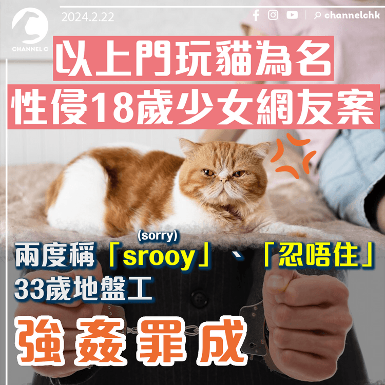 以上門玩貓為名性侵18歲少女網友案　兩度稱「srooy」、「忍唔住」33歲地盤工強姦罪成